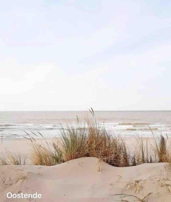 Ostend Chic, Luxe Loftstijl In Oostende Esterno foto